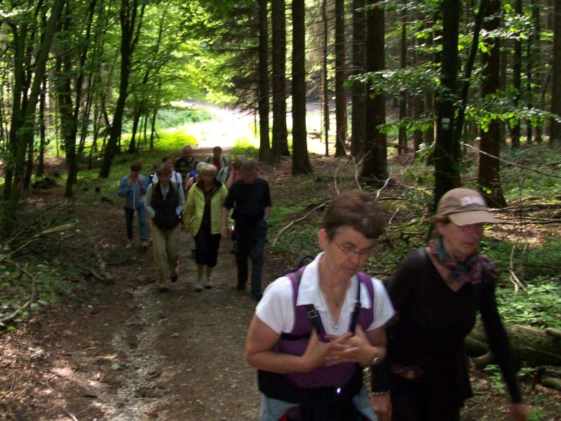 Wanderung Borgholzhausen Hilter 21.06.2008 2.jpg