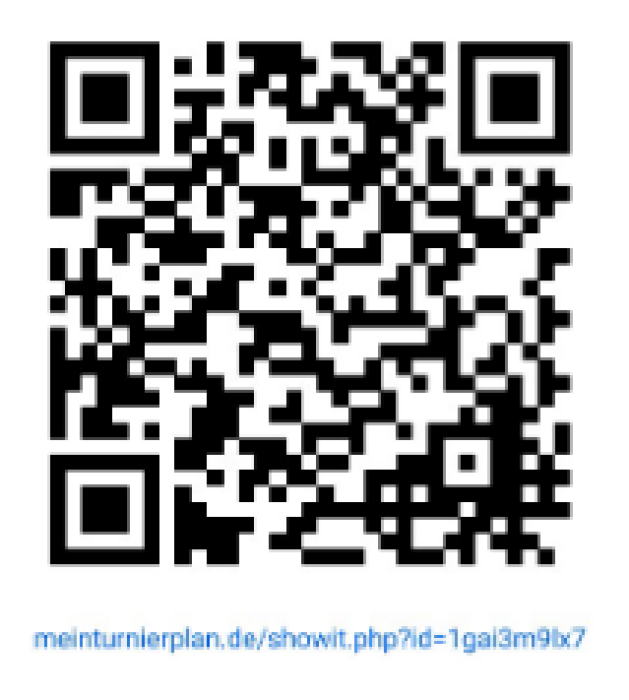 Screenshot 2025-12-08 at 15-06-22 C _Users_Manuel_AppData_Local_Temp_msoB99.tmp - Flyer Hohenfelder Pokal 2026-1.pdf.png