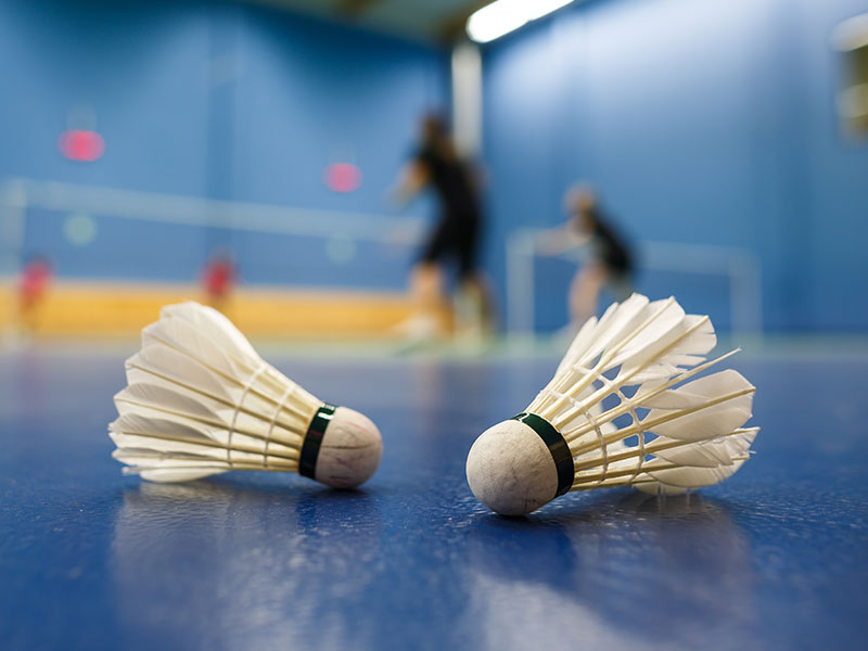 Abteilung Badminton